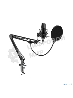 Микрофон Ritmix RDM-169 черный