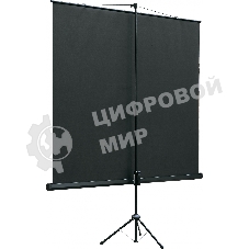 Экран на штативе Lumien Eco View 153x203см (раб.область147х197 см) Matte White с возможностью настенного крепления 4:3