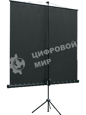 Экран на штативе Lumien Eco View 153x203см (раб.область147х197 см) Matte White с возможностью настенного крепления 4:3