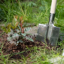 Лопата штыковая Сибртех нерж. сталь, 200х265 мм, ребра жесткости, без черенка, Россия