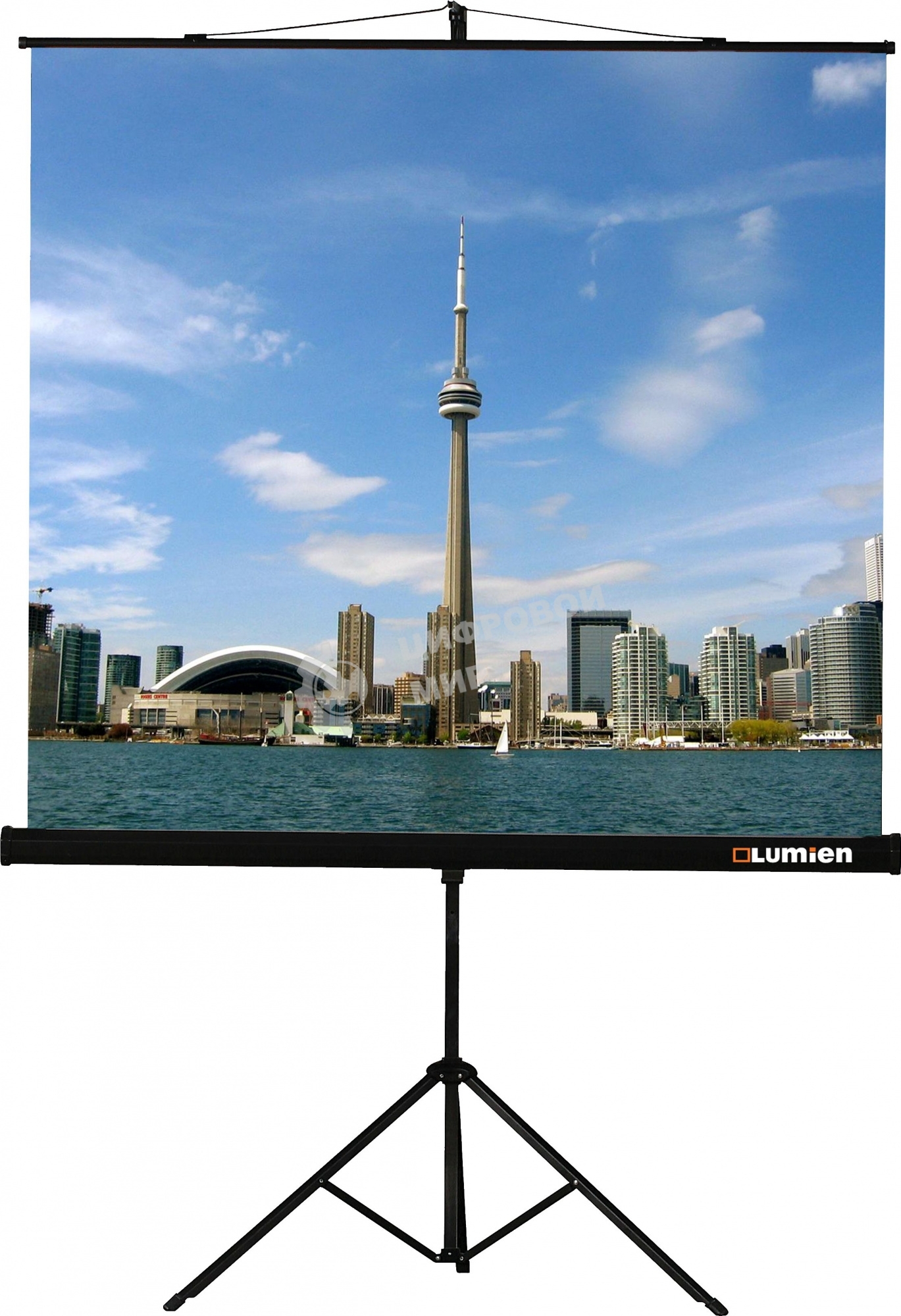 Экран на штативе Lumien Eco View 180x180 см (раб.область 174х174 см) Matte White с возможностью настенного крепления 1:1