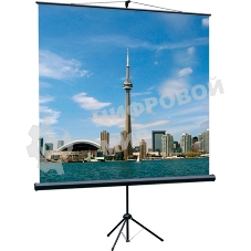 Экраны LUMIEN Lumien Экран на треноге 180x180 см Eco View LEV-100102 1:1 с возможностью настенного крепления