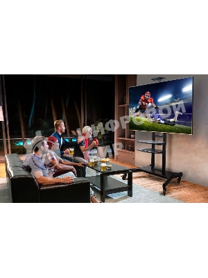 Стойка для телевизора с кронштейном ONKRON TS1881 50