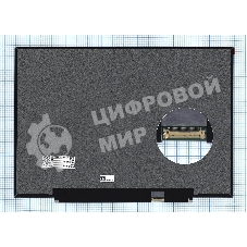 Матрица TL142GDXP01-0