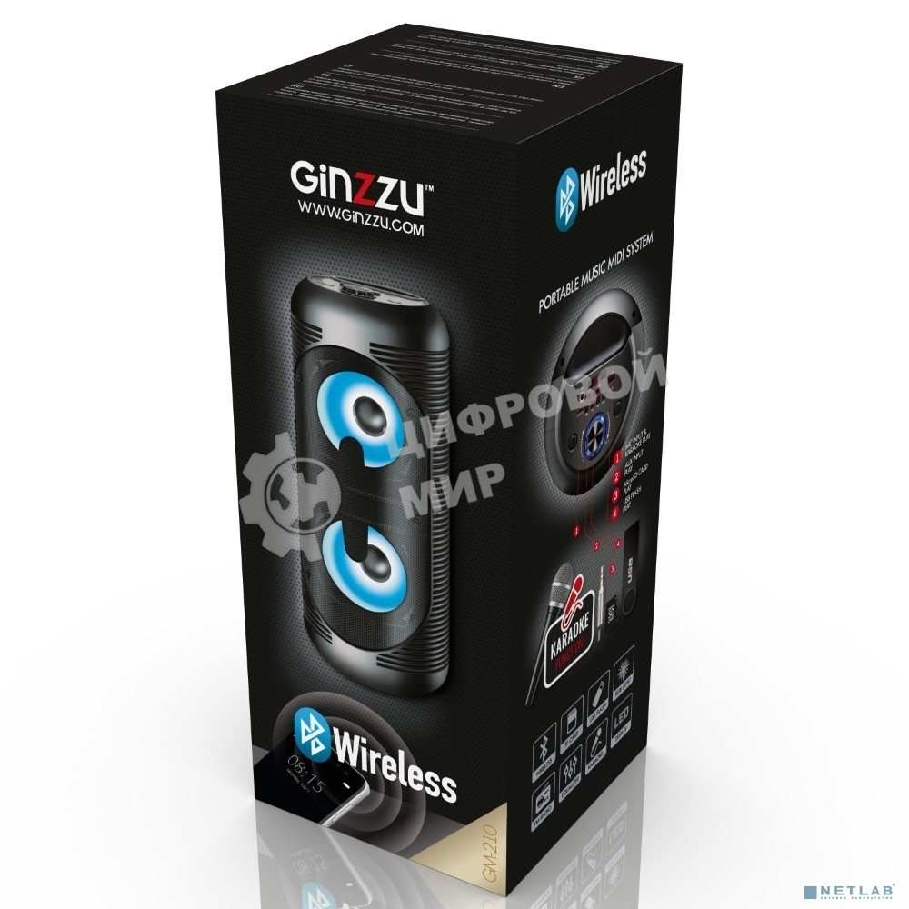 Акустическая система Ginzzu GM-210 Midi RGB/BT/USB/TF/FM/ДУ черный