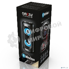 Акустическая система Ginzzu GM-210 Midi RGB/BT/USB/TF/FM/ДУ черный