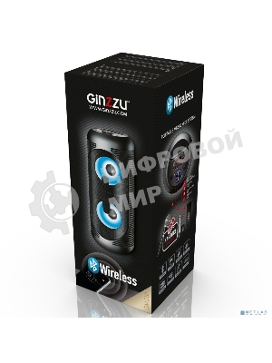 Акустическая система Ginzzu GM-210 Midi RGB/BT/USB/TF/FM/ДУ черный