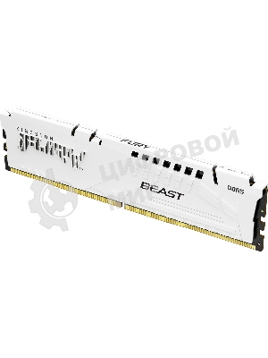 Оперативная память Kingston Fury Beast, DDR5, 32Gb (1x32Gb), 5600MHz, CL36, DIMM, с радиаторами, белый