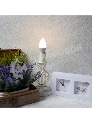 Лампа светодиодная Rexant свеча (CN) 9,5 Вт E14 903 лм 2700 K теплый свет