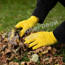 Перчатки в наборе Palisad 5 пар, цвета в ассортименте, ПВХ точка, L