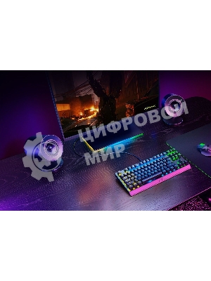 Колонки Razer Nommo V2 X RZ05-04760100-R3G1