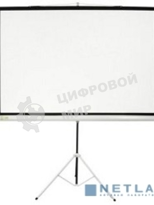 Экран Cactus 180x180 см Triscreen CS-PST-180x180 1:1 напольный рулонный белый