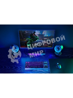 Колонки Razer Nommo V2 X RZ05-04760100-R3G1