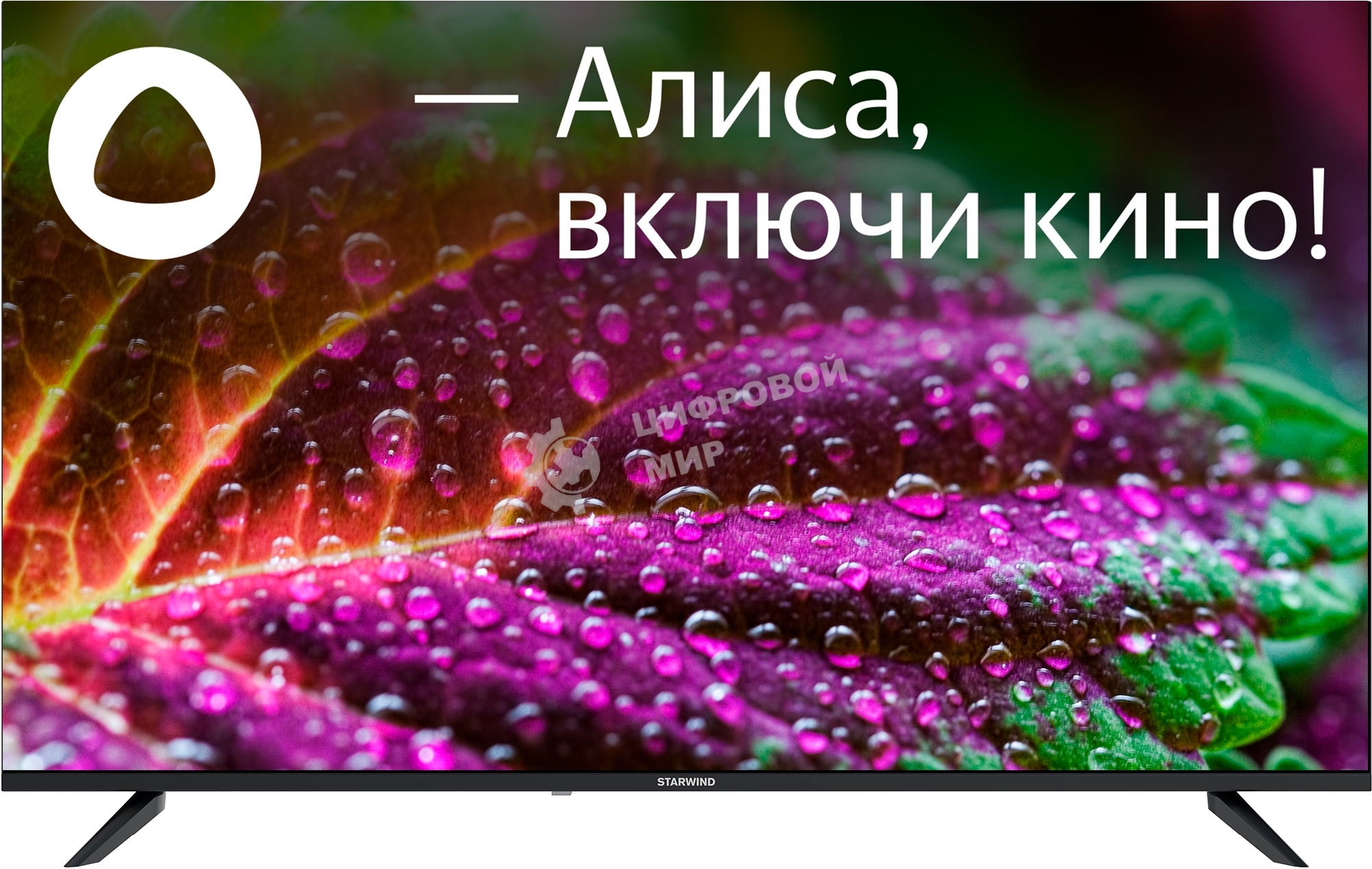 Телевизор Starwind 55