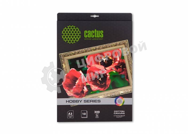 Холст Cactus CS-СA326010 A3/10л. для струйной печати