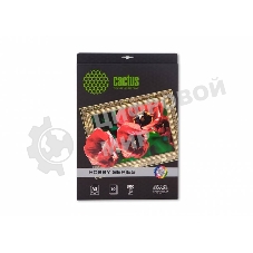 Холст Cactus CS-СA326010 A3/10л. для струйной печати