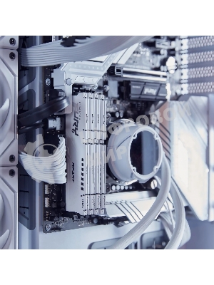 Оперативная память Kingston Fury Beast, DDR5, 32Gb (1x32GB), 5600MHz, CL40, DIMM, радиатор, белый