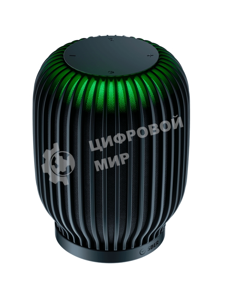 Умная колонка Sber SberBoom, 40Вт, стандартная, 1 динамик, Мультирум, Стереопара, Wi-Fi, Bluetooth 5.0, Салют, черный