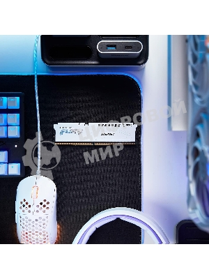 Оперативная память Kingston Fury Beast, DDR5, 32Gb (1x32GB), 5600MHz, CL40, DIMM, радиатор, белый