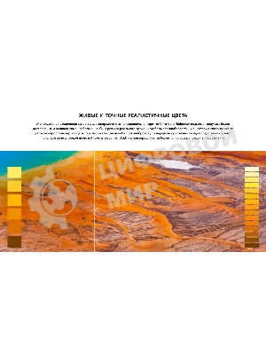 Телевизор Hisense 55