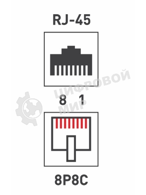 Проходной адаптер Rexant, RJ-45(8P-8C), UTP неэкранированный, категория 5e, (гнездо-гнездо)