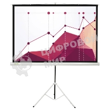 Экран Cactus 180x180 см Triscreen CS-PST-180x180 1:1 напольный рулонный белый
