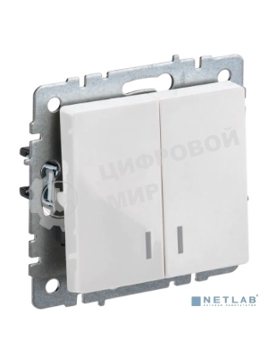 Выключатель 2-кл. СП BRITE ВС10-2-1-БрБ 10А с инд. белый IEK BR-V20-1-10-K01