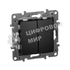 Переключатель 2клавишный 10AX, антрацит ETIKA 