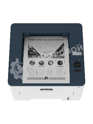 Принтер лазерный Xerox B230 (B230V_DNI), A4, ч/б, печ. до 34 стр/мин., 600 x 600 dpi, USB, RJ-45, Wi-Fi