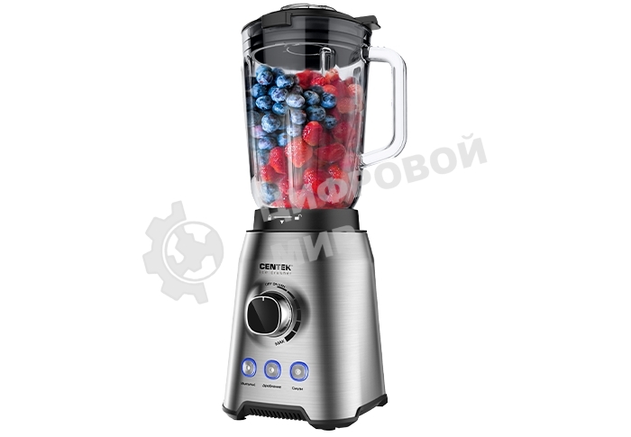 Блендер стационарный Centek CT-1329