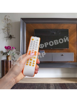 Универсальный пульт дистанционного управления Rexant для телевизора (RX-952)