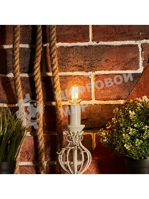 Лампа светодиодная филаментная Rexant Шарик GL45 7.5 Вт 600 Лм 2700K E14 прозрачная колба