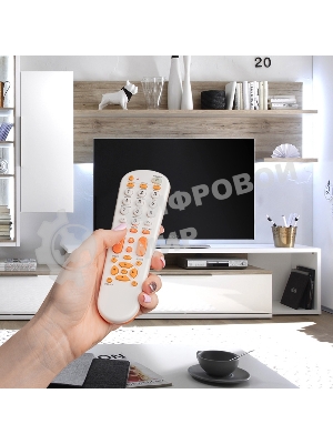 Универсальный пульт дистанционного управления Rexant для телевизора (RX-951)