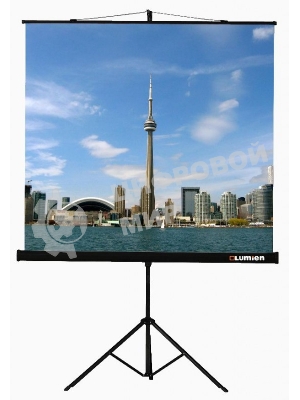 Экран на треноге Lumien 200x200 см Eco View LEV-100103 1:1 напольный рулонный
