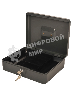 Ящик для денег Cactus CS-CB-004GY 90x300x240 серый