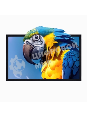 Экран для проектора S'OK SCFRV-236x133G 107