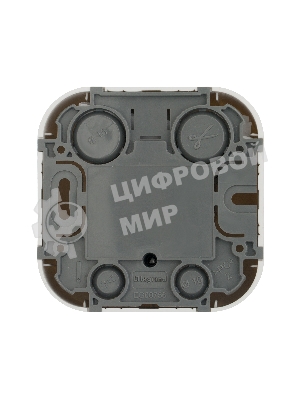 Розетка телевизионная Quteo TV БЕЛ Quteo Розетка TV БЕЛ