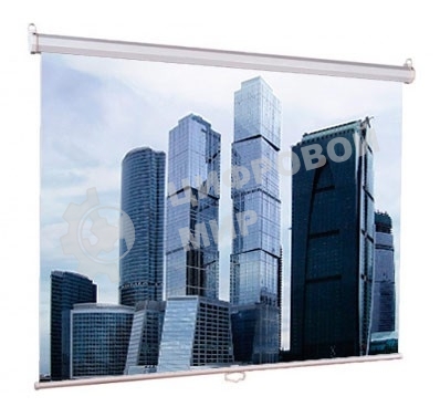 Экран Lumien 160x160 см Eco Picture LEP-100105 1:1 настенно-потолочный рулонный