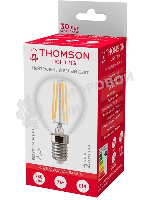 Лампа светодиодная Hiper THOMSON LED FILAMENT GLOBE 7W 730Lm E14 4500K TH-B2084
