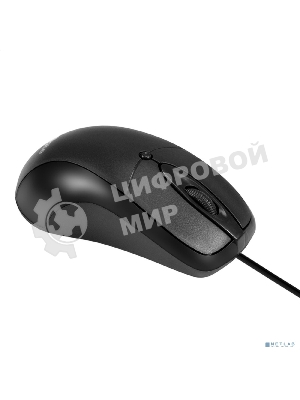 Мышь проводная ExeGate Professional Standard B100L черный, 1000 dpi, USB, кнопки - 3