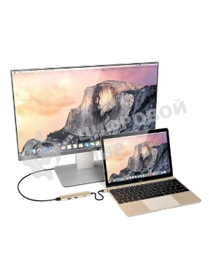 USB-концентратор Satechi Slim Aluminum Type-C Multi-Port Adapter with Type-C Charging Port. Интерфейс USB-C. Порты USB Type-C, 2хUSB 3.0, 4K HDMI. золотой.