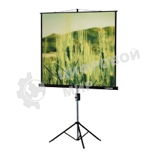 Экран на треноге Lumien 220x165 см Master View LMV-100113 4:3 напольный рулонный