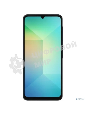 Смартфон Samsung Galaxy A06 SM-A065F 4/128Gb, черный