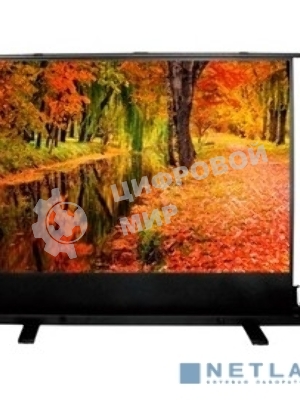 Экран Cactus 150x200 см FloorExpert CS-PSFLE-200X150 4:3 напольный рулонный