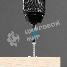 Набор бит торсионных Gross PZ2x50 мм, для ударных шуруповертов, 10 шт.