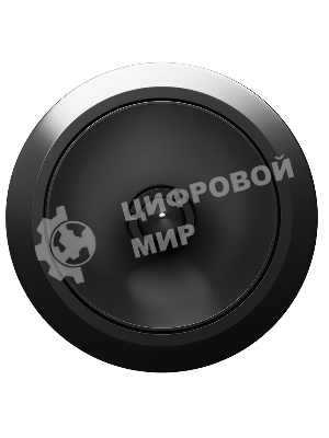 Колонки автомобильные ACV ST-25PRO (без решетки) 100Вт 107дБ 4Ом 2.5см (1дюйм) (ком.:1кол.) твитер однополосные