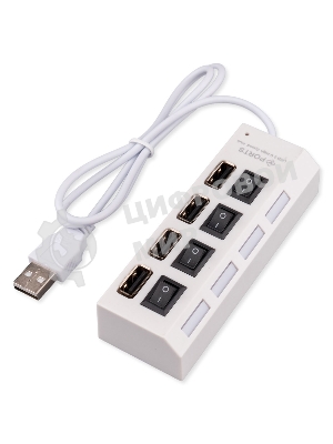 Разветвитель USB2.0 Gembird UHB-243-ADW, 4хUSB, с доп. питанием, подсветка и выключатели, кабель USB 55 см, белый, коробка