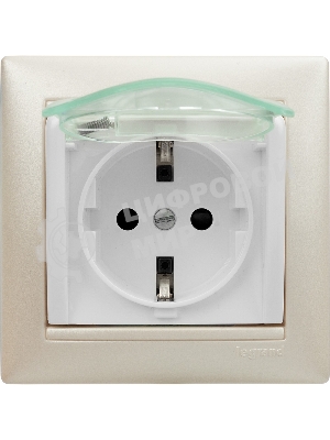 Розетка Legrand Valena 774220 влагозащищенная IP44 с заземлением с крышкой и защитными шторками (белая)