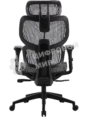 Кресло Cactus CS-MC555-GY черный, сетка