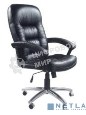 Кресло Бюрократ T-9908AXSN-AB черный, кожа